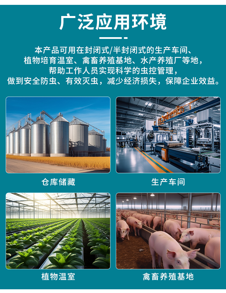 虫情R5_12.jpg