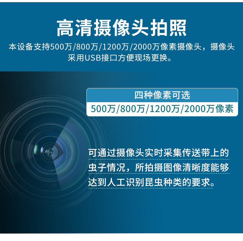 虫情R6_05.jpg